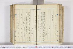 明い015050090007.jpg