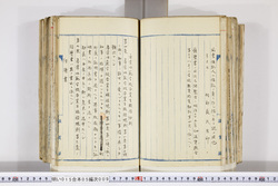 明い015050090008.jpg