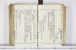 明い015050090016.jpg