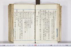 明い015050090019.jpg
