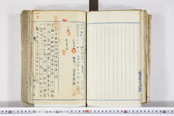 明い015050090021.jpg