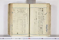 明い015050100002.jpg