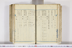明い015050100003.jpg