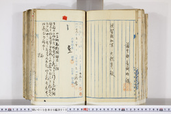 明い015050100008.jpg