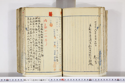 明い015050100011.jpg
