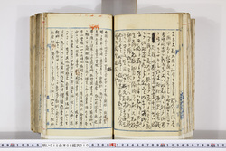 明い015050100012.jpg