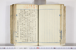 明い015050100014.jpg