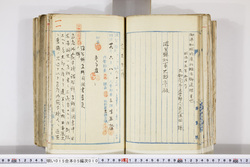 明い015050100016.jpg