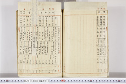 明い015050110010.jpg