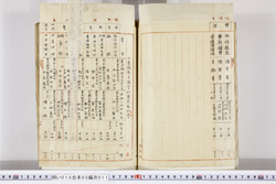 明い015050110011.jpg