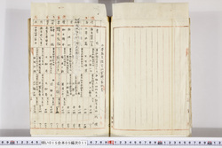 明い015050110014.jpg