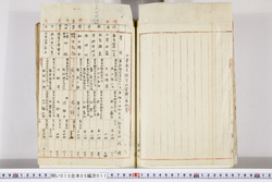 明い015050110015.jpg