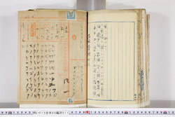 明い015050110019.jpg