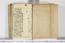 明い015050110020.jpg