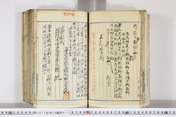 明い015050110024.jpg