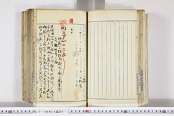 明い015050110025.jpg