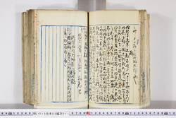 明い015050110026.jpg