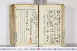 明い015050110028.jpg