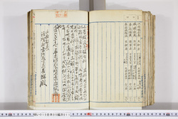 明い015050110030.jpg