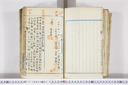 明い015050120006.jpg