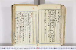 明い015050130002.jpg