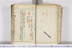 明い015050130004.jpg
