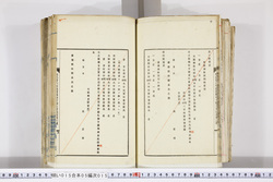 明い015050150006.jpg