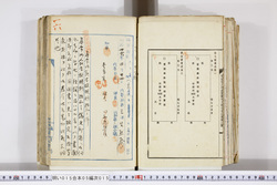 明い015050150007.jpg