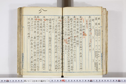 明い015050160006.jpg