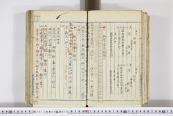 明い015050160007.jpg
