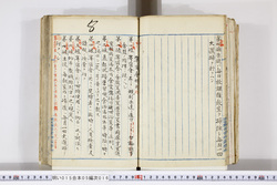 明い015050160010.jpg