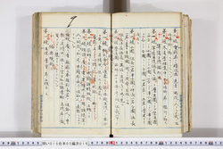 明い015050160011.jpg