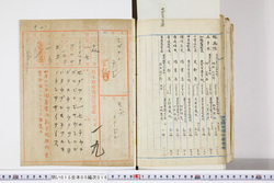 明い015050160024.jpg