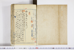 明い015050160025.jpg