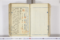 明い015050180003.jpg