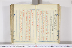明い015050180005.jpg