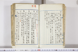 明い015050210005.jpg