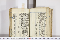 明い015050220003.jpg