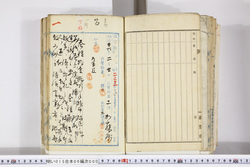 明い015060000003.jpg