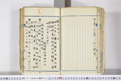 明い015060010003.jpg