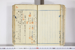 明い015060020004.jpg