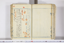 明い015060030003.jpg
