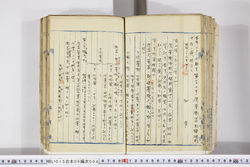 明い015060040002.jpg