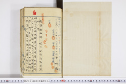明い015060040005.jpg