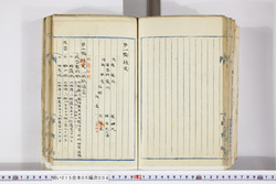 明い015060040009.jpg