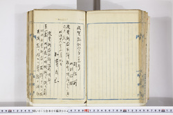明い015060040012.jpg