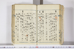 明い015060040013.jpg