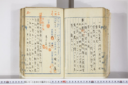 明い015060040015.jpg