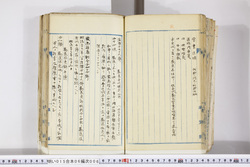 明い015060060005.jpg