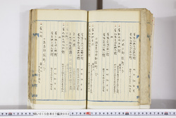 明い015070020006.jpg